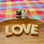 犬の健康守る!肝臓数値下げる食べ物ガイド