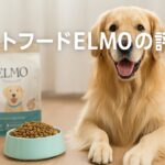 ペットフードELMO 評判からわかるメリット・デメリット徹底解説