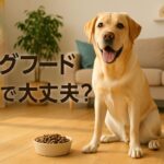 犬がドッグフードだけで大丈夫な理由と注意点