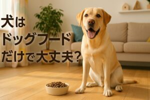 犬がドッグフードだけで大丈夫な理由と注意点