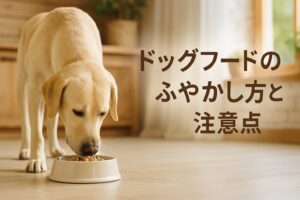 ドッグフードを電子レンジでふやかす方法と成犬へのデメリット