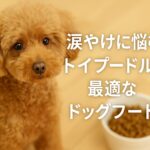 涙やけに悩むトイプードルに最適なドッグフードとは?