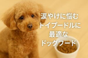 涙やけに悩むトイプードルに最適なドッグフードとは？