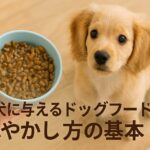 子犬の成長に合わせたドッグフードのふやかす時間と与え方の基本