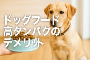 ドッグフードの高タンパクは危険?知られざるデメリット