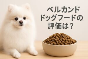 ベルカンドドッグフード評価と実力｜愛犬に合うか見極める方法