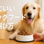 ドッグフード体にいいのはどれ？後悔しない選び方の基本