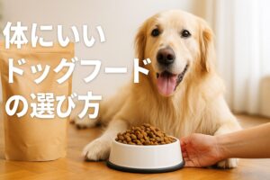 ドッグフード体にいいのはどれ？後悔しない選び方の基本