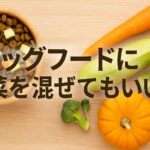 ドッグフードに野菜を混ぜる方法と注意点まとめ