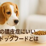 犬の膿皮症にいいドッグフードとは？栄養と効果の関係