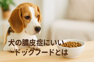犬の膿皮症にいいドッグフードとは？栄養と効果の関係