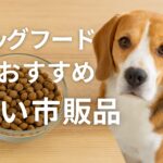 おすすめ安い市販品ドッグフードの選び方と注意点まとめ