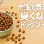 市販で買える臭くないドッグフードの選び方と注意点