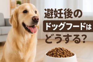 避妊後のドッグフードはいつまで？人気ランキングと選び方解説