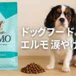 ドッグフードで涙やけ対策!エルモの魅力と選ばれる理由とは