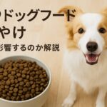 K9ドッグフード涙やけ対策に選ばれる理由を徹底解説