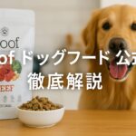 woofドッグフード公式の魅力とは?安全性と栄養価を徹底解説