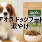 キアオラのドッグフードで涙やけは治る?理由と対策を解説