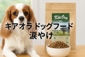 キアオラのドッグフードで涙やけは治る?理由と対策を解説