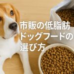 愛犬に優しい市販低脂肪ドッグフードの選び方と注意点