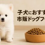 子犬におすすめの市販ドッグフード｜コスパ重視で賢く選ぼう