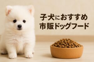 子犬におすすめの市販ドッグフード|コスパ重視で賢く選ぼう