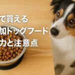愛犬家必見!市販で買える無添加ドッグフードの魅力と注意点