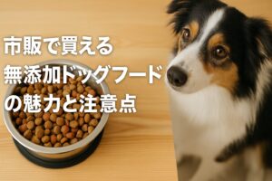 愛犬家必見！市販で買える無添加ドッグフードの魅力と注意点