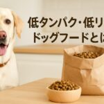 低たんぱく低リンドッグフードとは？愛犬に優しい選び方ガイド