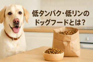 低たんぱく低リンドッグフードとは？愛犬に優しい選び方ガイド