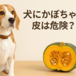 犬にかぼちゃの皮は危険?安全な与え方と注意点まとめ