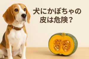 犬にかぼちゃの皮は危険？安全な与え方と注意点まとめ