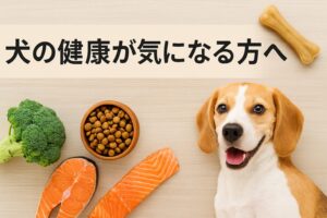 犬の中性脂肪を下げる食べ物とは？健康維持の基本ガイド