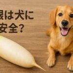 大根を犬に茹でて与える方法と安全な量とは