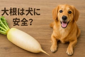 大根を犬に茹でて与える方法と安全な量とは