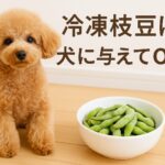 冷凍枝豆は犬に与えてOK?安心できる与え方と量の目安