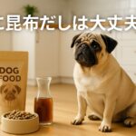 犬に昆布だしを与えるときの注意点と安全な使い方のコツ