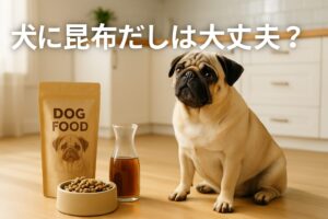犬に昆布だしを与えるときの注意点と安全な使い方のコツ