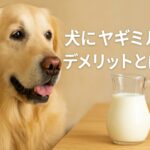 犬の健康に影響も?ヤギミルクのデメリットとは