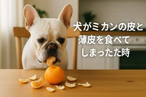 犬がミカン好きで皮や薄皮を食べてしまった時の安全対処法