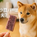 犬が小豆バーを欲しがる理由と与えるべきでない理由とは