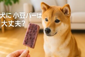 犬が小豆バーを欲しがる理由と与えるべきでない理由とは