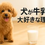 犬が牛乳を大好きな理由と注意点｜下痢やアレルギーを防ぐ方法