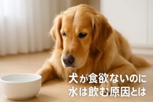 犬が食欲ないけど水は飲む…病気とストレスのサインを見逃さない