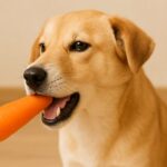茹でて甘みたっぷり!犬が喜ぶにんじんレシピと安全な与え方