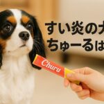 膵炎の犬にチュールはOK?安全な選び方と注意点