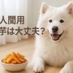 犬用と人間用の干し芋の違いと安全に与えるポイント