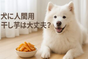 犬用と人間用の干し芋の違いと安全に与えるポイント