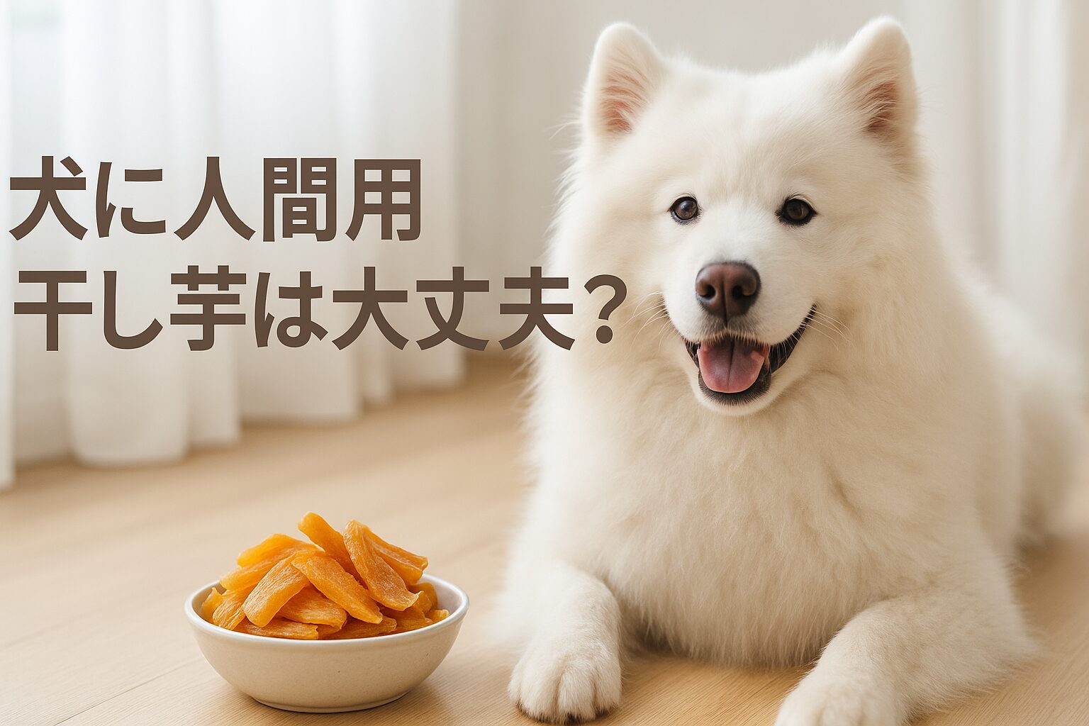 犬用と人間用の干し芋の違いと安全に与えるポイント