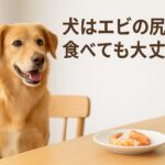 エビの尻尾は犬にとって危険?正しい知識と安全な与え方